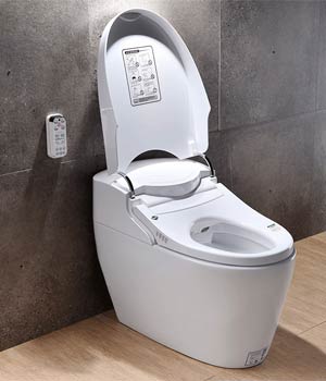 Smart Toilets