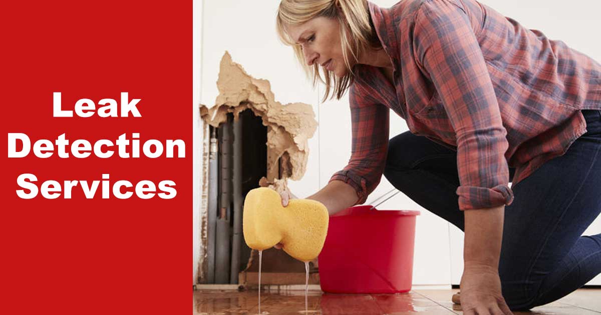 Leak detection services San Diego WPS West Plumbing Services